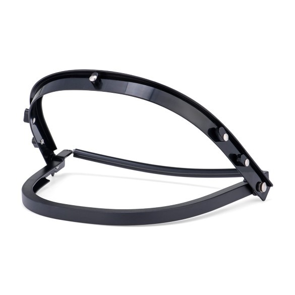 Visor carrier