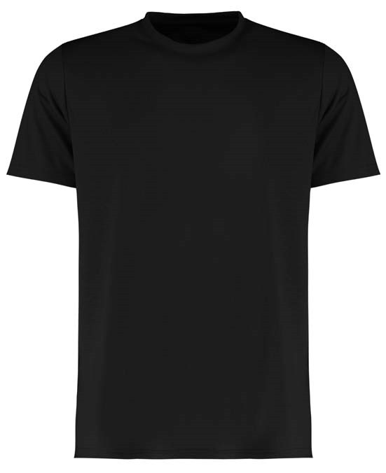 Cooltex&#174; plus wicking tee (regular fit)