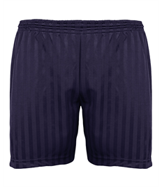 Navy Shadow Stripe Shorts